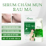 Serum Chấm Mụn Rau Má N Collagen