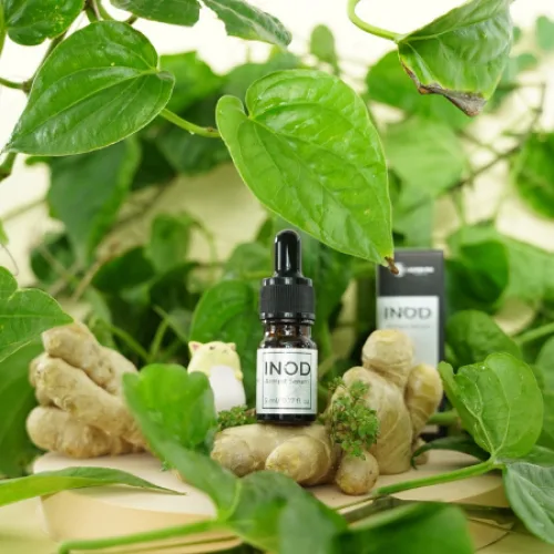 Serum Inod Khử Mùi Hôi Nách Và Hôi Chân Huyền Phi Cosmetics