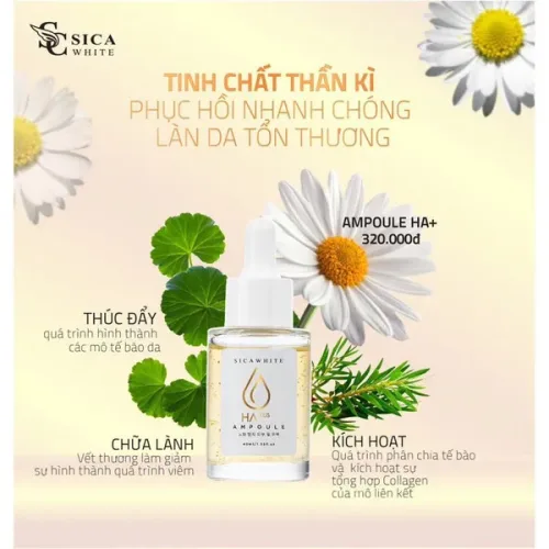 Serum Sica White Ampoule HA Plus