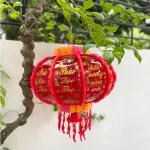 Set 2 Lồng Đèn Điện Phản Quang 3d Con Cá Trang Trí Tết 60cm
