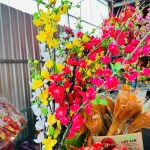 Set 5 CÀNH HOA ĐÀO CỔ - Loại Dài