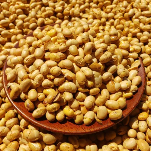 Đậu Mix 3 Vị (Đậu Đen, Đậu Xanh, Đậu Nành) Sun Khía 3 Ngăn 300G Hộp Quà Tết 2026