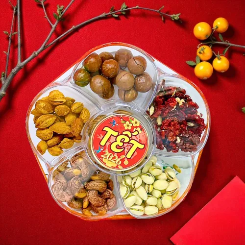 Set Hộp Mix Hạt Ngũ Vị (Hạt Điều Rang Muối, Quả Óc Chó Vàng, Quả Óc Chó Đỏ, Macca, Hạt Dẻ Cười, Hạnh Nhân Rang Bơ) Bông Mai 600G Hộp Tết 2026