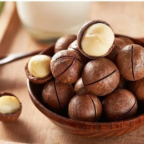 Set Hộp Mix Hạt Ngũ Vị (Hạt Điều Rang Muối, Quả Óc Chó Vàng, Quả Óc Chó Đỏ, Macca, Hạt Dẻ Cười, Hạnh Nhân Rang Bơ) Bông Mai 600G Hộp Tết 2026