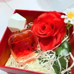Set Hộp Quà Tặng Nước Hoa Charme Darling Mùi Nữ 50ml