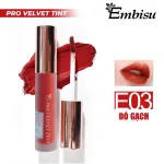 Set Hộp Quà Tặng Son Môi Kem Nhung Lì Hàn Quốc Embisu Pro Vel Tint 10 Màu - Hộp Hoa Rơm Nhiều Màu