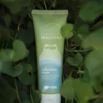 Sữa Rửa Mặt Rau Má PrettySkin
