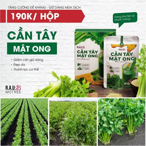 Tăng cường đề kháng – giữ dáng mùa dịch với Cần tây mật ong