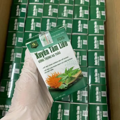 Trải nghiệm để cảm nhận hiệu quả sau 1 tuần Xuyên Tâm Liên Đông Trùng Hạ Thảo lá chắn bảo vệ từ bên trong
