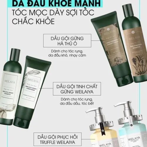 Trộm vía hàng về Riêng dầu gội nhà Weilaiya thì e nói thật là hơn hẳn các dòng gội trên thị trường rồi