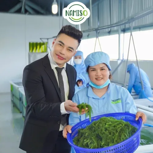 Vì Sao Bạn Nên Chọn Rong Nho NAMISO Nhật Bản?