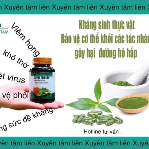 Viên uống Xuyên Tâm Liên Đông Trùng Hạ Thảo Đông Y Hồng Tâ giải pháp an toàn bảo vệ sức khoẻ gia đình