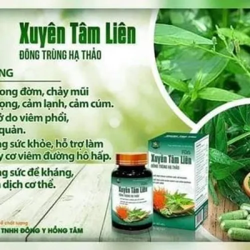 Viên uống Xuyên Tâm Liên Đông Trùng Hạ Thảo Đông Y Hồng Tâm