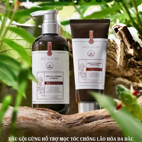 Weilaiya Bộ Dầu Gội Gừng Hỗ Trợ Mọc Tóc  Chống Lão Hóa Da Đầu Luxury 420ml x 200ml