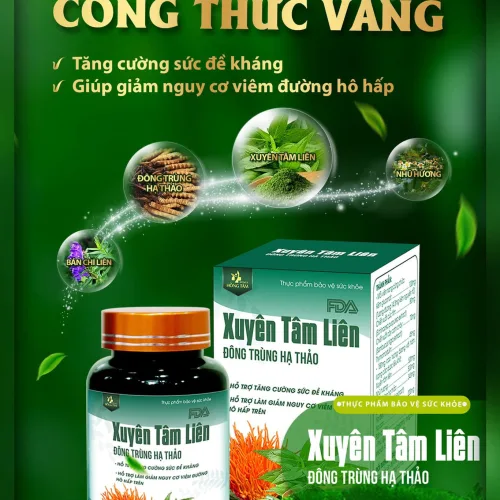 Xuyên tâm liên là từ khóa đc tìm kiếm nhiều nhất hiện nay
