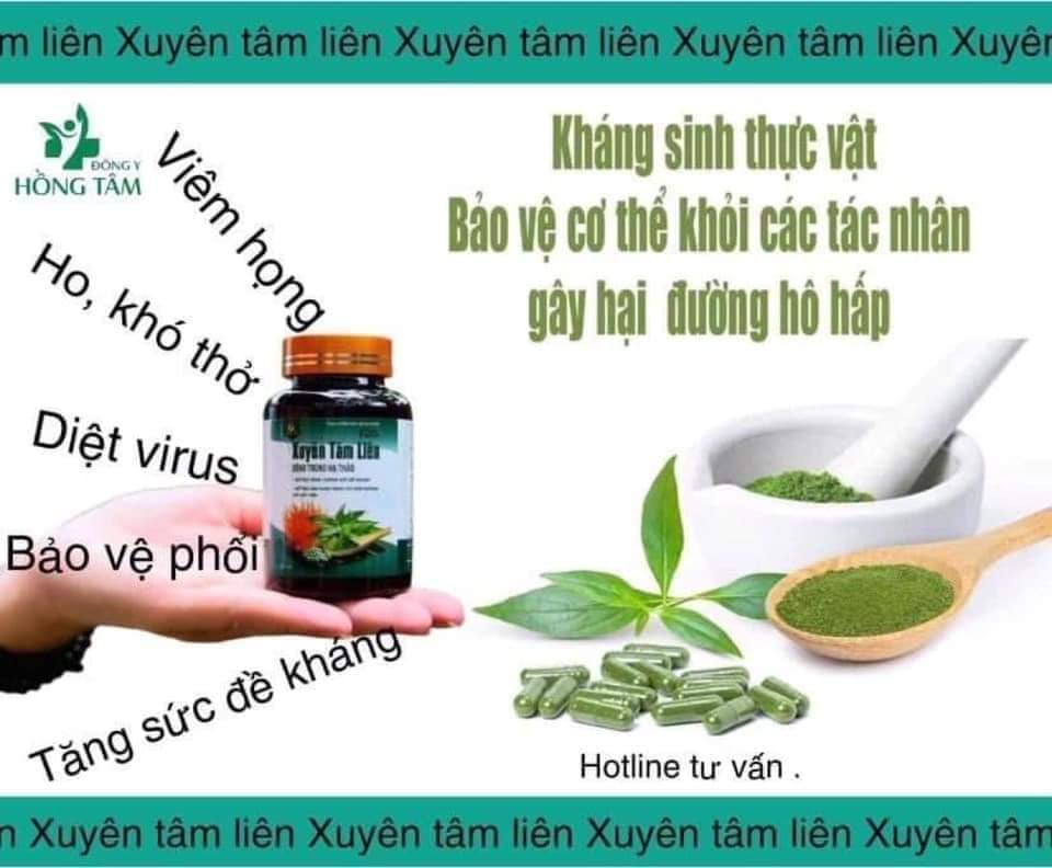 Viên uống Xuyên Tâm Liên Đông Trùng Hạ Thảo Đông Y Hồng Tâ giải pháp an toàn bảo vệ sức khoẻ gia đình